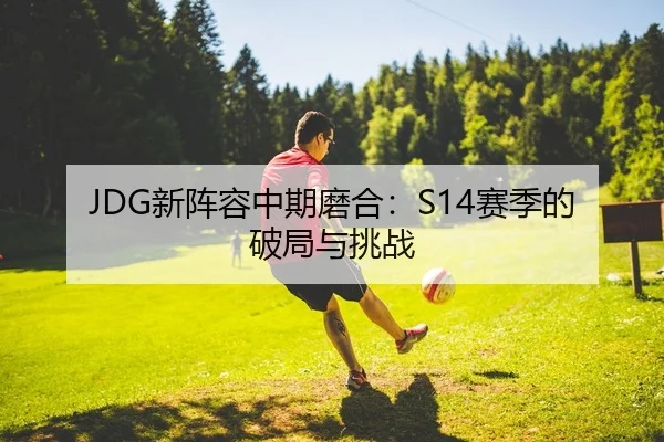 JDG新阵容中期磨合：S14赛季的破局与挑战